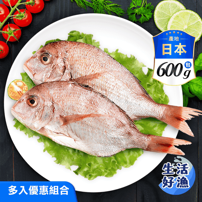 【生活好漁】五星級夢幻品-日本真鯛/野生嘉鱲魚600g