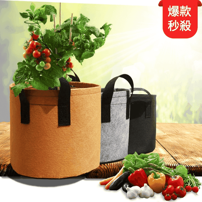 加厚無紡布陽臺種菜種花蔬果種植盆栽袋
