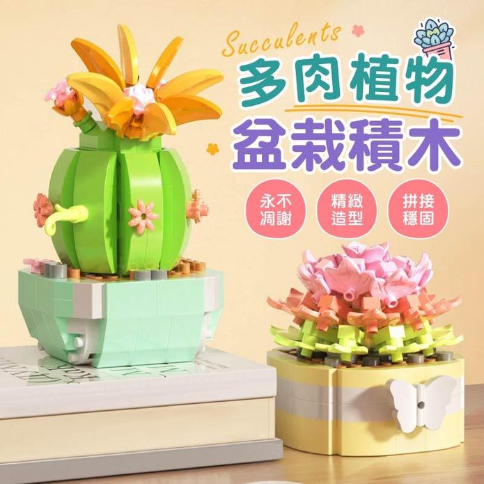 多肉植物盆栽積木