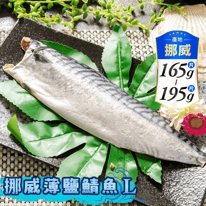 【鮮綠生活】超大尺寸超厚正挪威薄鹽鯖魚L (毛重200g-230g/片) 鯖魚排