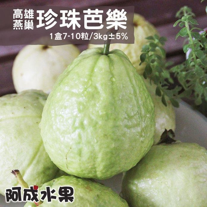 【阿成水果】高雄燕巢珍珠芭樂(7-10粒/3kg/盒) 水果禮盒