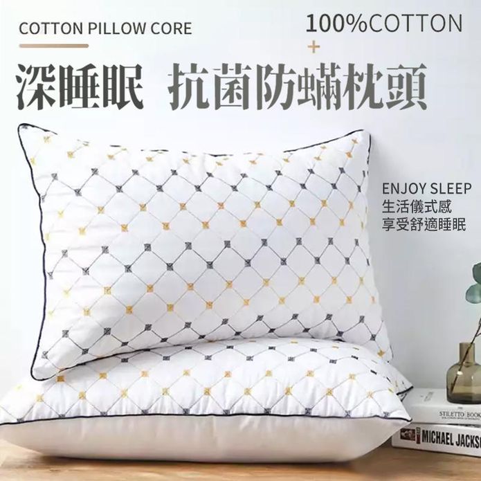 天柔家深睡眠抗菌防蟎枕頭一組二入 可機洗水洗