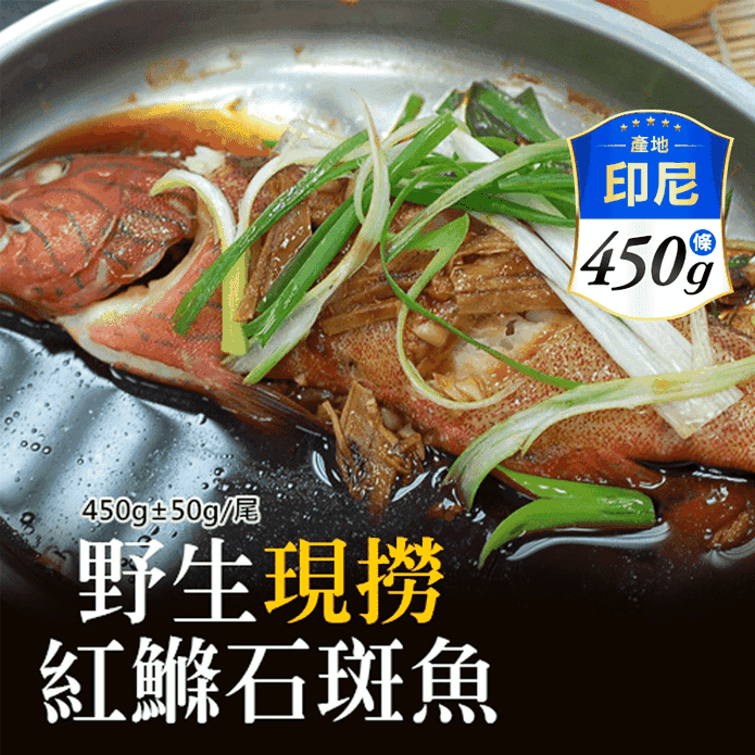 【築地一番鮮】海底紅金峇裡島野生紅鰷石斑魚450g/條 野生石斑 石斑魚肉