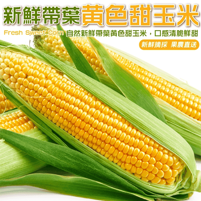 【果農直配】新鮮帶葉黃色甜玉米(5斤/10斤/箱)