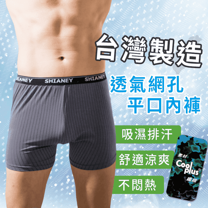 臺灣製透氣網眼男性內褲 多色任選