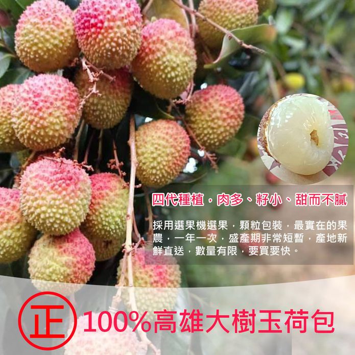 預購【荔莊果園】高雄大樹剪枝玉荷包36mm特級大果禮盒(5斤/盒)