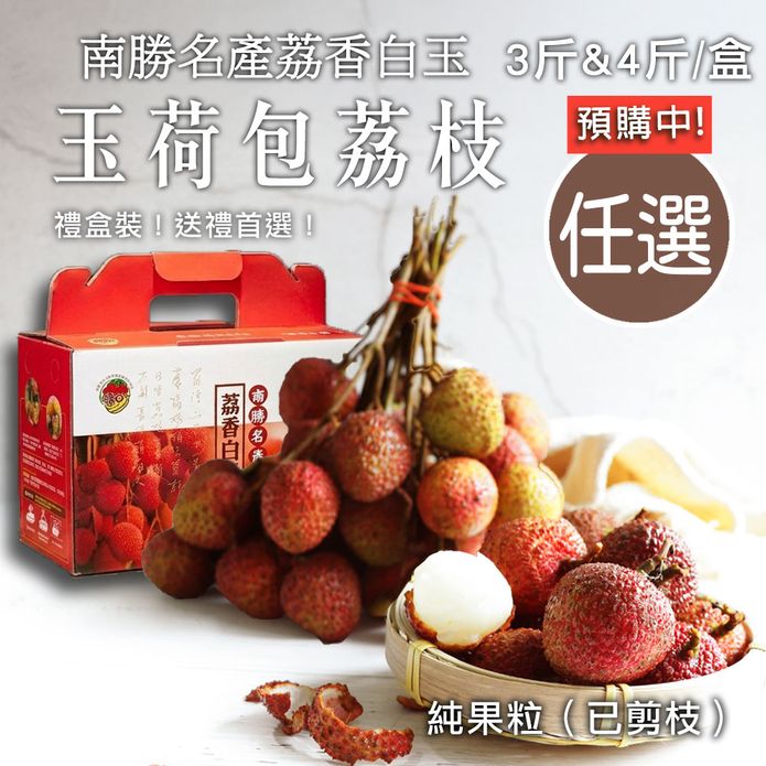 預購5/25-5/29出貨【築地一番鮮】純果粒｜南勝｜荔香白玉｜ 玉荷包荔枝｜3