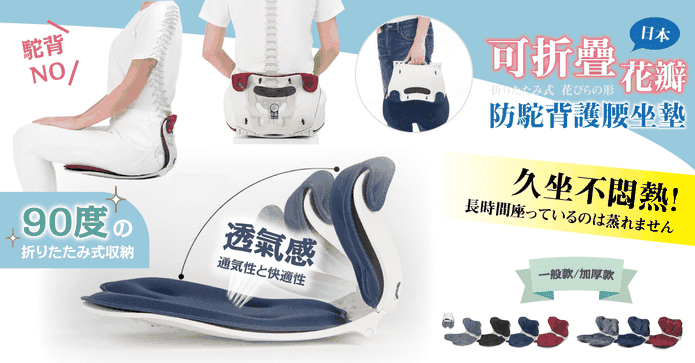 可折疊花瓣脊椎護腰坐墊