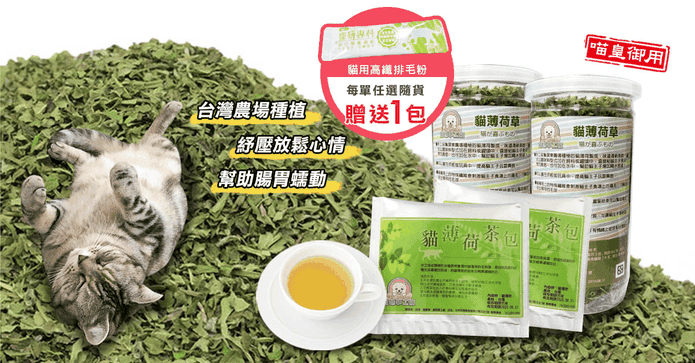 貓咪貓草薄荷茶包排毛粉