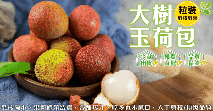大樹爆汁玉荷包荔枝禮盒