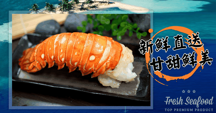 大規格加勒比海龍蝦身