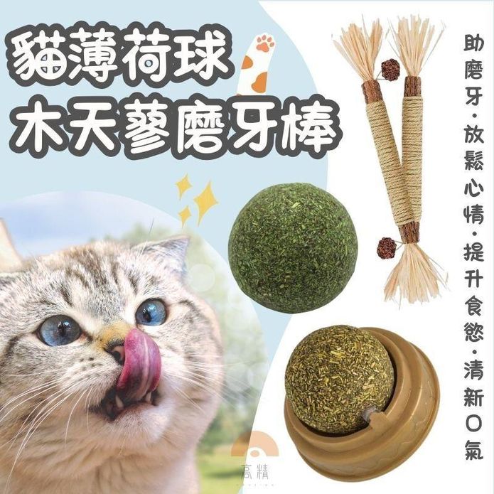 【高精寵物】貓咪磨牙玩具 貓咪磨牙棒 貓薄荷球