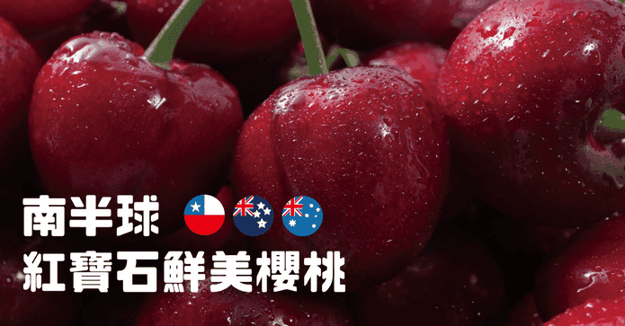 南半球紅寶石鮮美櫻桃