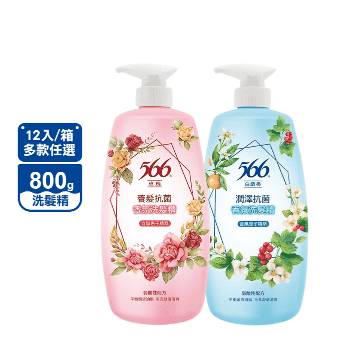 【566】抗菌香氛洗髮精800g 抗屑 潤澤 養髮 保濕 絲滑 共12入一箱