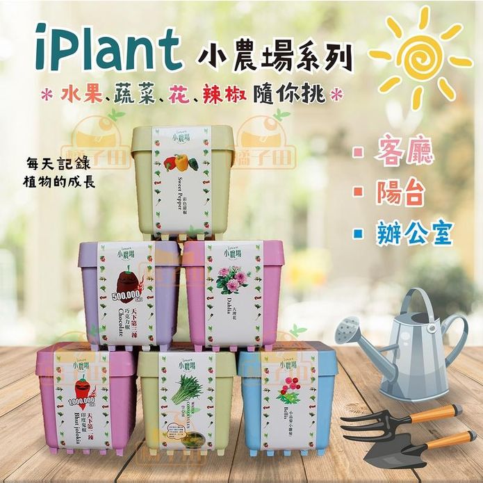 【iPlant】開心積木小農場輕鬆種盆栽系列(每盆加贈同款種子一包)