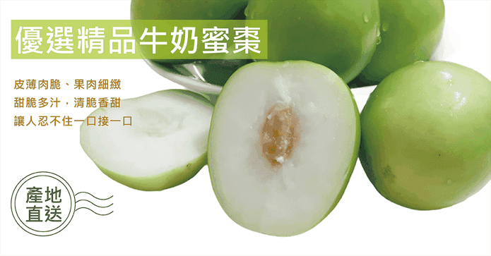 高雄燕巢牛奶蜜棗禮盒