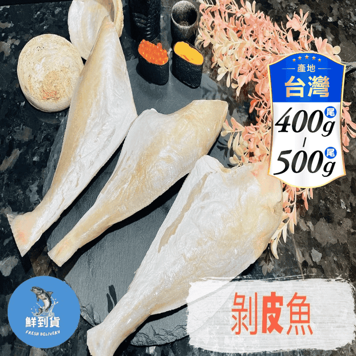 【鮮到貨】基隆港特產現釣剝皮魚400至500g
