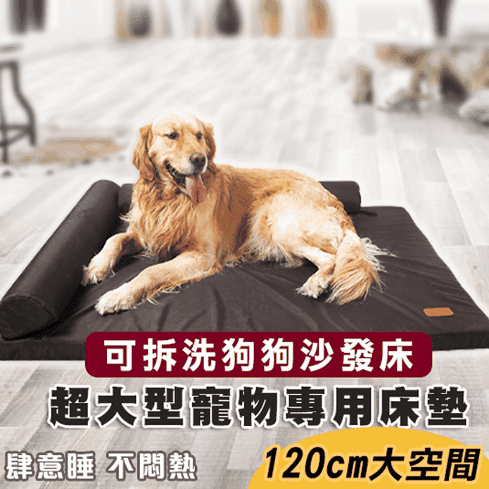 可拆洗寵物專用床墊