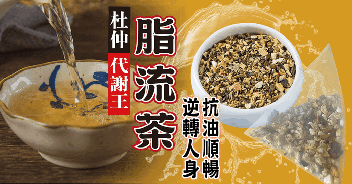 【蔘大王】杜仲脂流茶