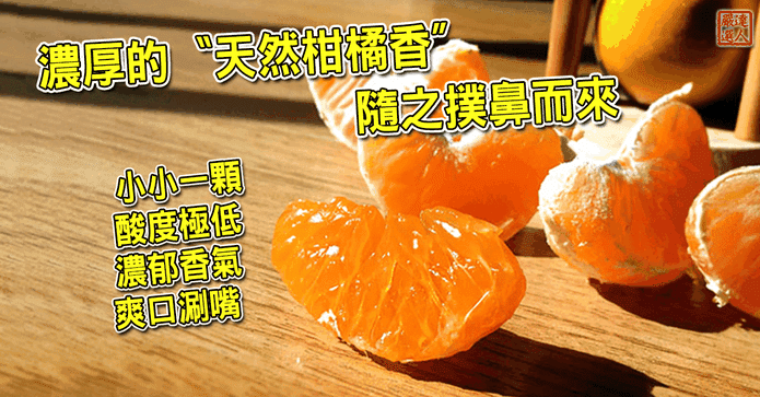 超迷你珍珠砂糖橘
