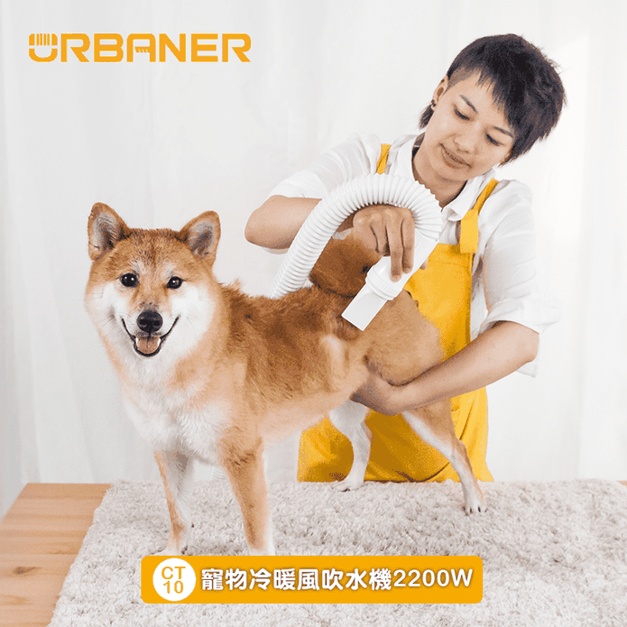 Urbaner奧本電剪 寵物冷暖風吹水機寵物吹風機 吹毛機 中大型犬適用 生活市集