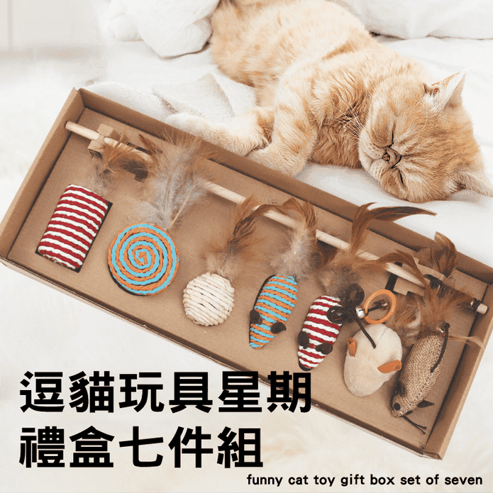 星期逗貓玩具七件組