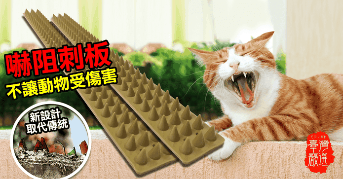 MIT動物禁區錐形刺板