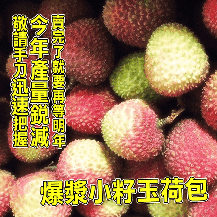 【台灣紅】屏東恆春㊣超小籽爆漿玉荷包荔枝4斤