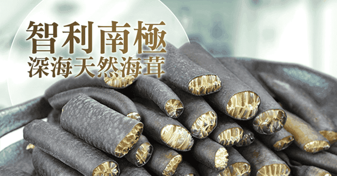 智利南極深海天然海茸