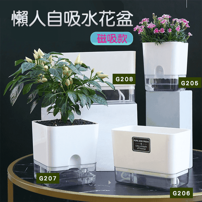 磁吸免澆水懶人盆栽