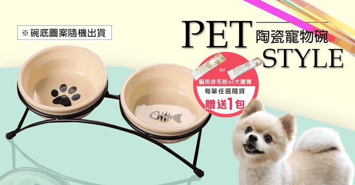 寵物高架陶瓷雙碗