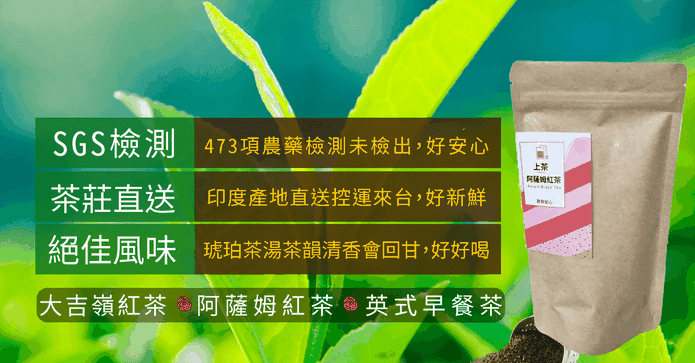 上茶印度頂級紅茶茶包