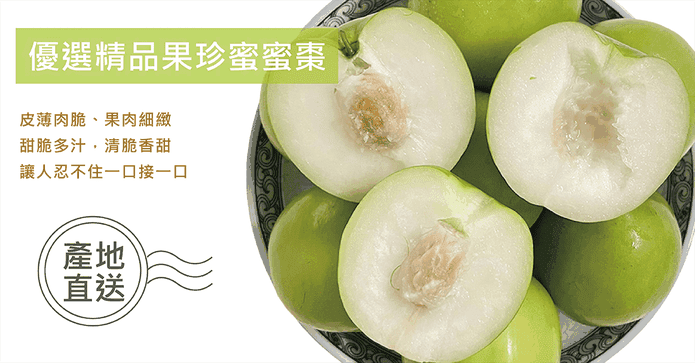 高雄11號珍蜜蜜棗禮盒