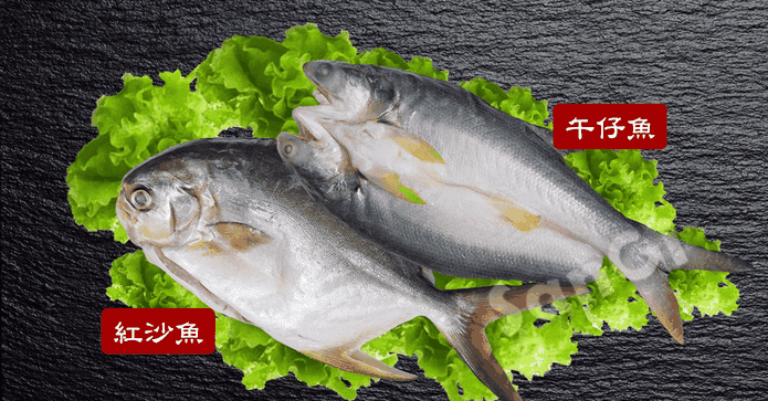 午仔魚/紅沙魚任選
