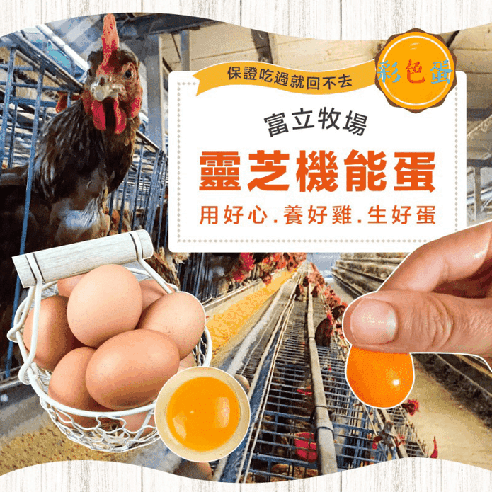 【富立牧場】靈芝機能雞蛋_彩色蛋 30顆/盒