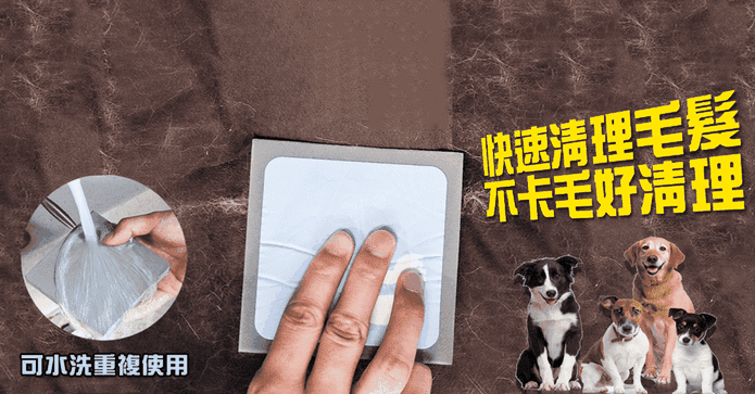 日本熱銷神奇寵物除毛磚