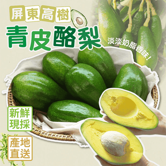 屏東嚴選青皮酪梨禮盒