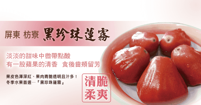 枋寮黑珍珠蓮霧禮盒