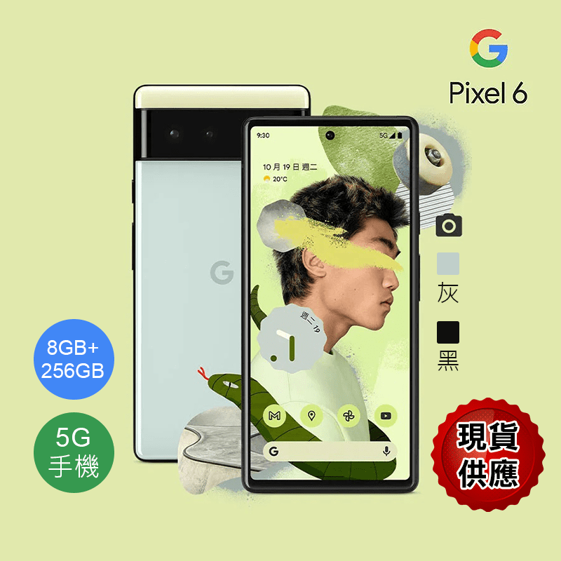 Google Pixel 6 8G 256G