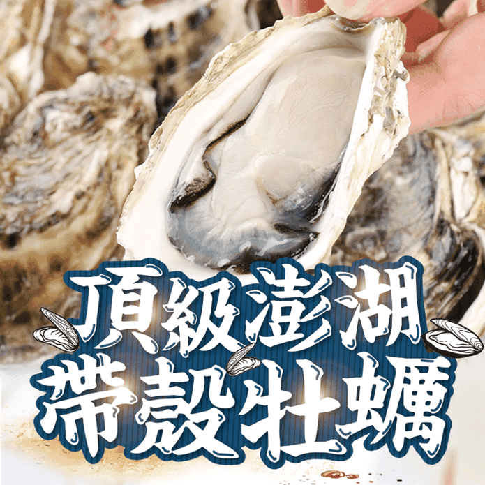 澎湖直送鮮活帶殼牡蠣