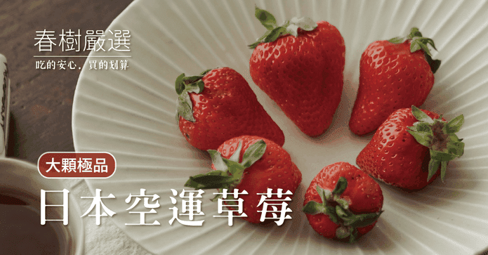 【春樹】日本熊本草莓