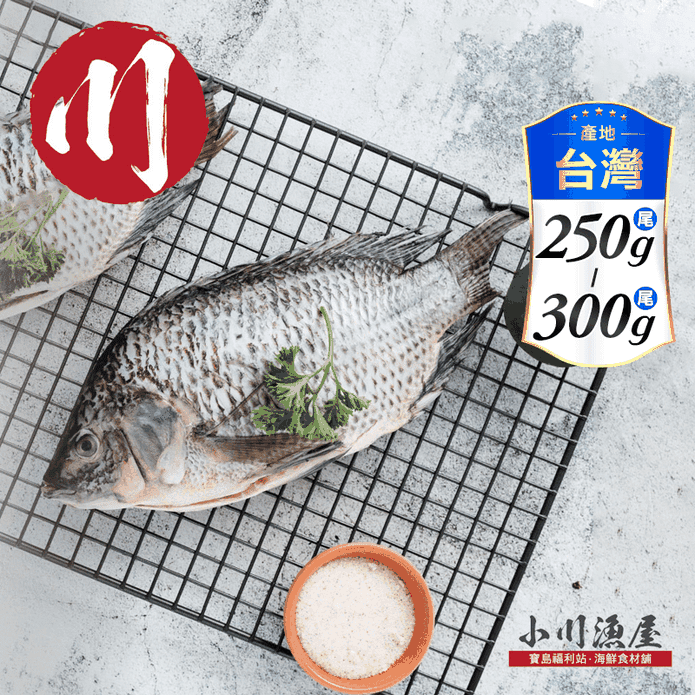 【小川漁屋】精選台灣鯛魚 (250~300g/尾)