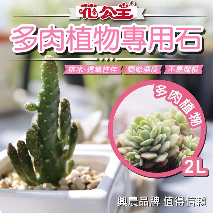 【花公主】多肉植物專用石2L