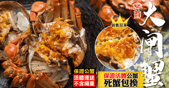 江蘇固城湖鮮肥大閘蟹