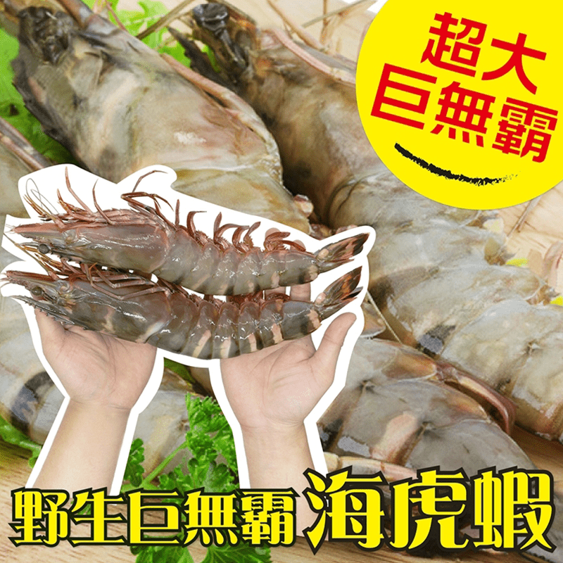 超鮮甜巨無霸海虎蝦