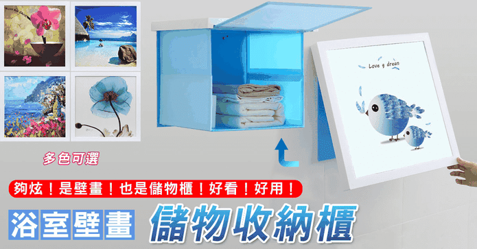 2in1浴室壁畫儲物收納櫃