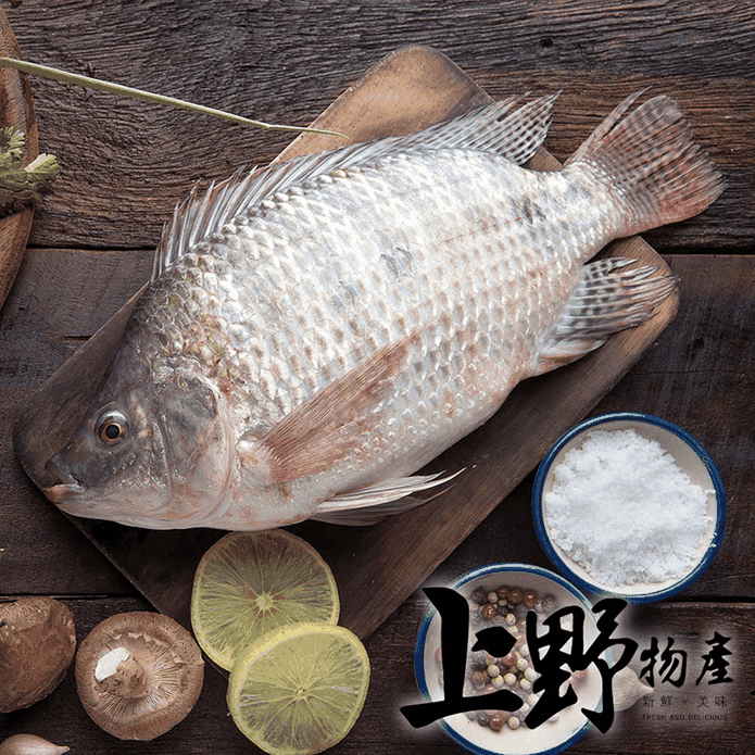 上野物產嚴選台灣鯛魚