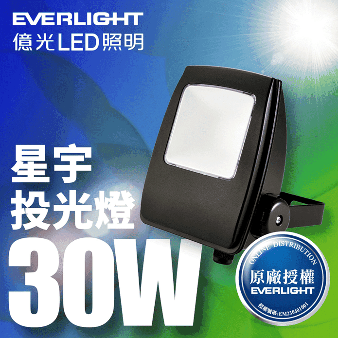 【億光EVERLIGHT】LED星宇30W 全電壓 IP65 投光燈 白光/黃光