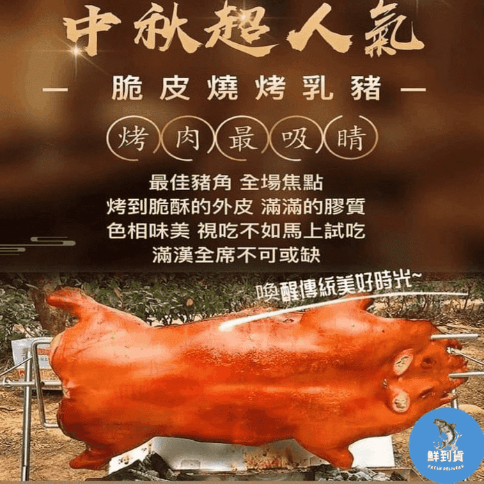 【鮮到貨】中秋脆皮燒烤乳豬5.5~6斤(附烤肉架+烤肉醬) 約8~10人份