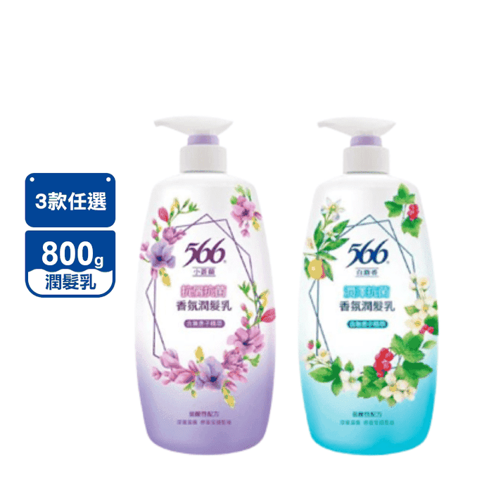 【566】抗菌香氛潤髮乳800g共12入 小蒼蘭抗屑 白麝香潤澤